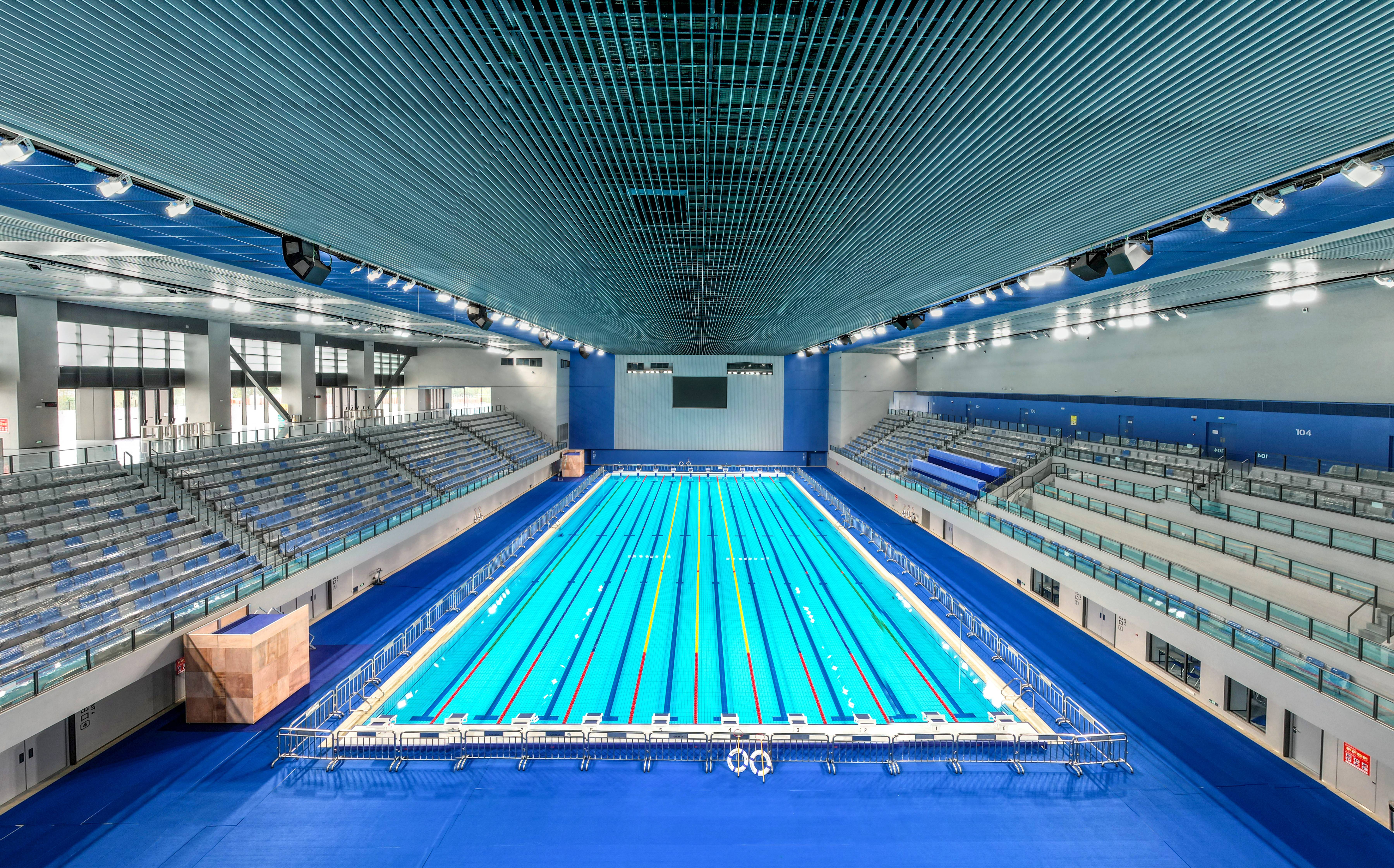 第31屆世界大學生夏季運動會游泳比賽