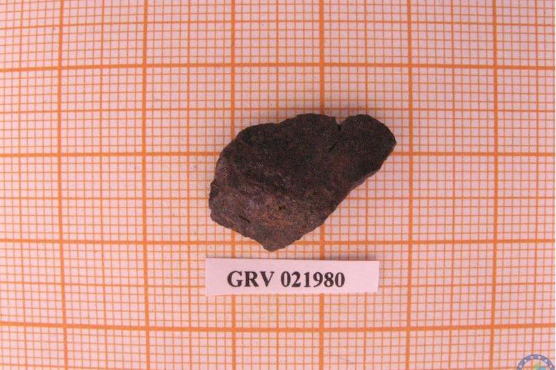 南極隕石GRV021980