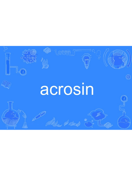 acrosin