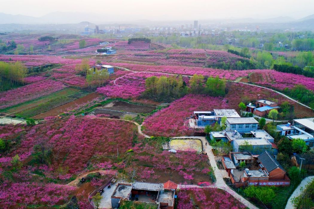 雲陽鎮水葫蘆漫自然風景區