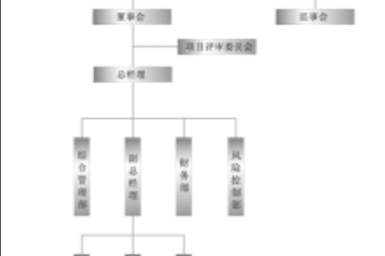 安徽國聯投資擔保有限公司