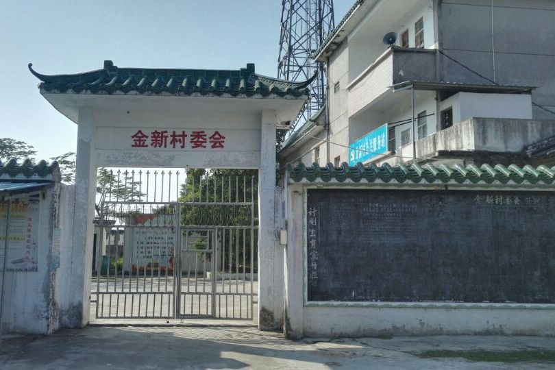 金新村(廣東省揭西縣金和鎮下轄村)