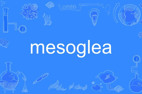 mesoglea