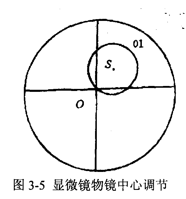 球晶結構