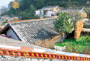 沙岱鄉果布新村彝族農民家園