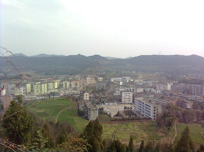 雙鳳鎮(四川省南充市西充縣雙鳳鎮)