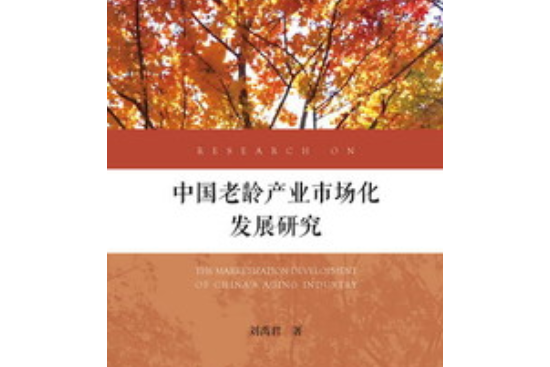 中國老齡產業市場化發展研究