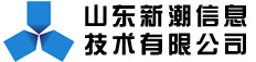 山東新潮信息技術有限公司