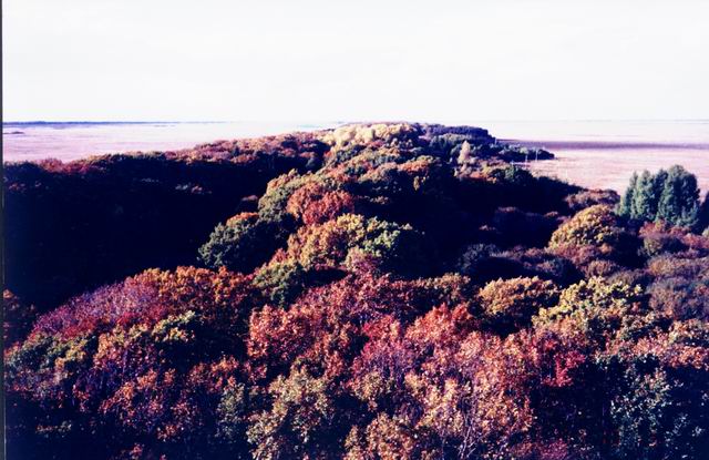 蜂蜜山(山峰)