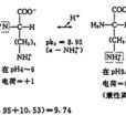 等電點