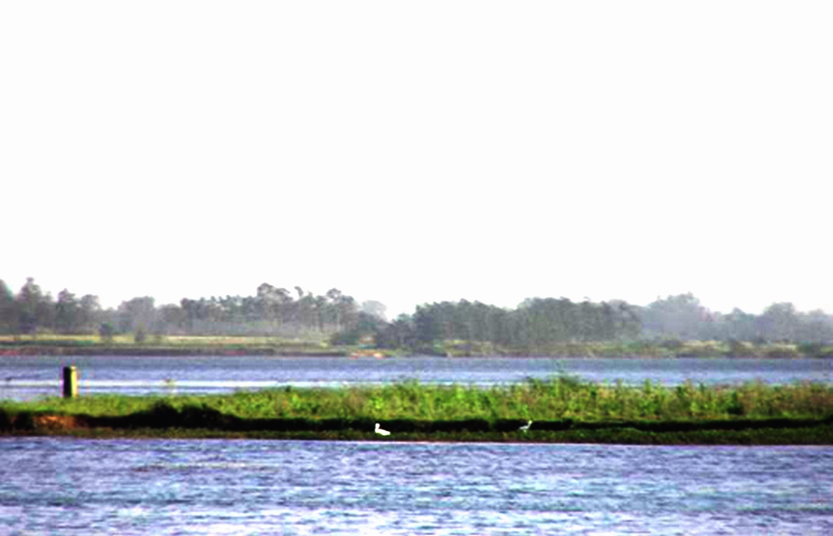 川橋河遠眺