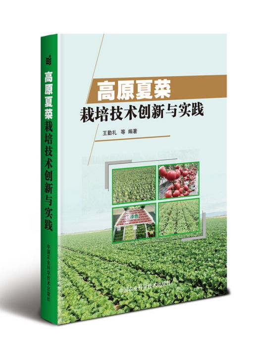 高原夏菜栽培技術創新與實踐