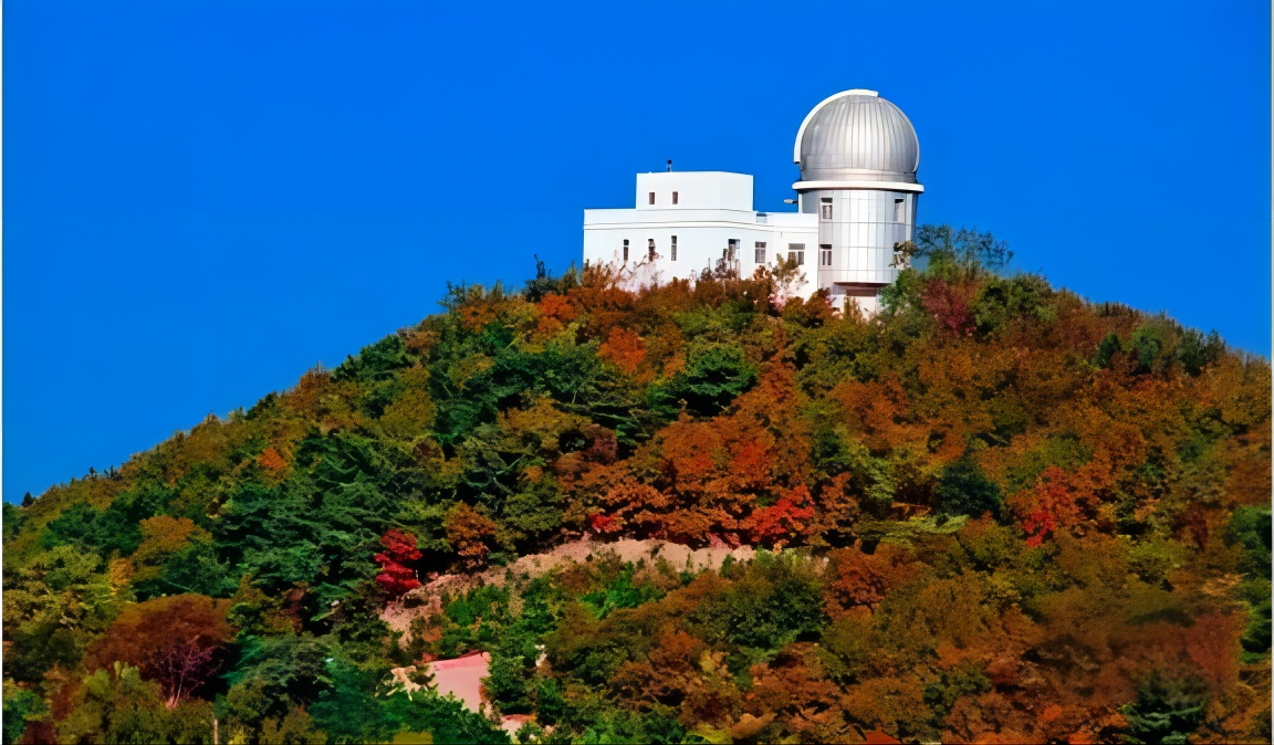 山東大學（威海）(山東大學威海)