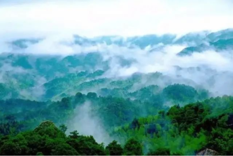 廣東南崑山國家森林公園