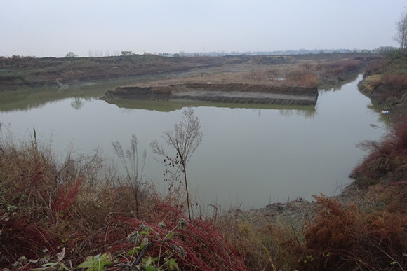 大沙湖農場