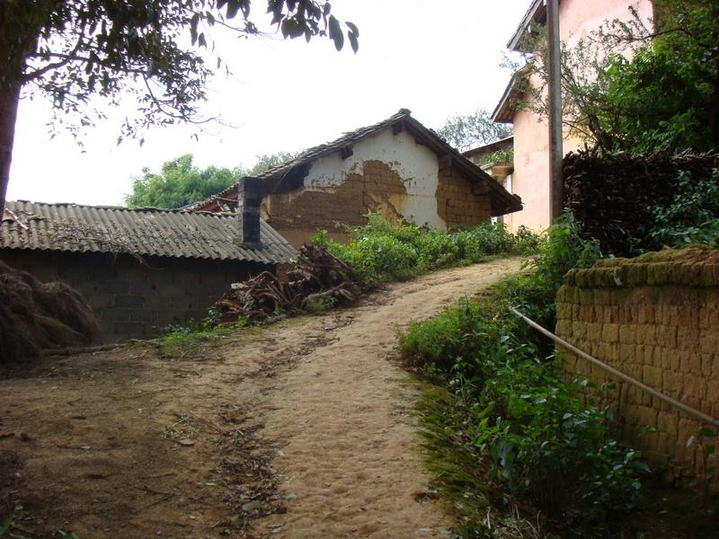 金家山村(雲南省金家山村)