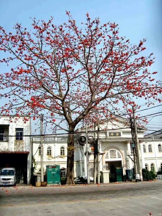 汾水村(廣東揭陽玉湖汾水村)