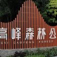 高峰森林公園