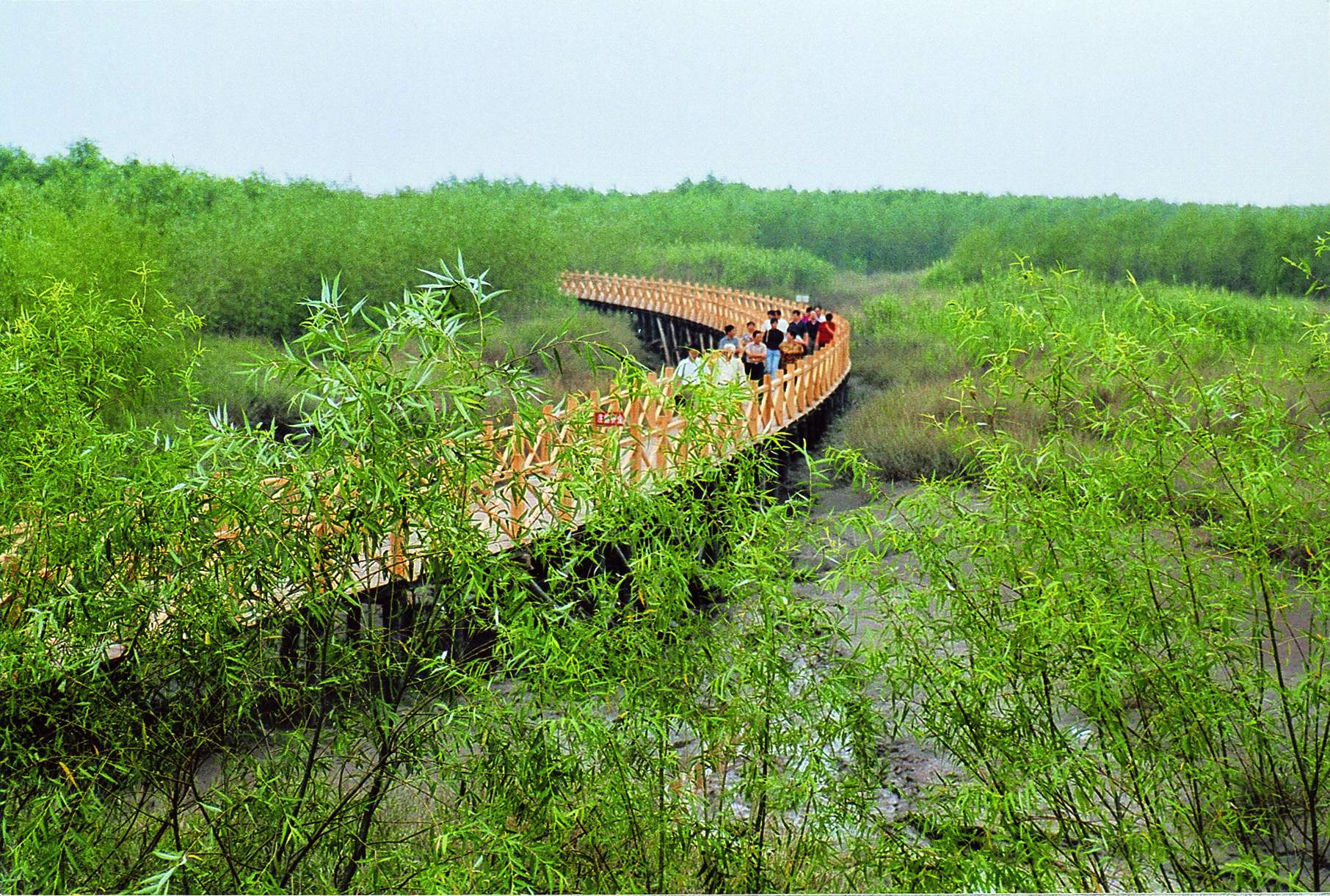 西沙濕地