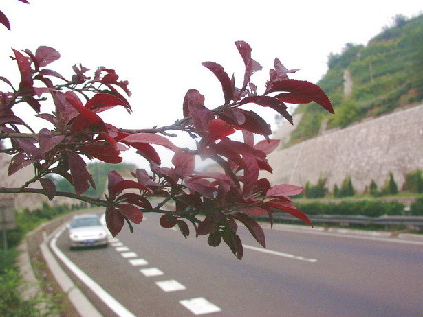 運三高速公路