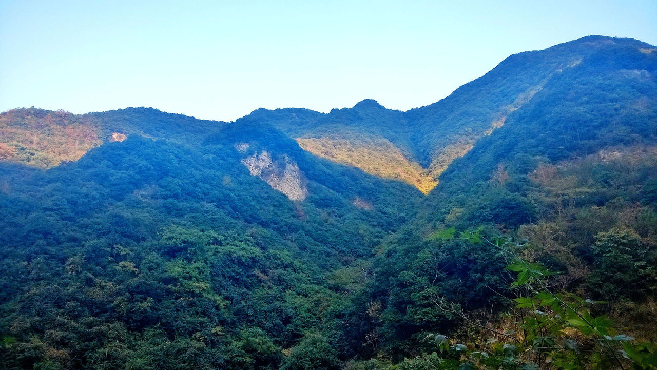 龍母山風景區