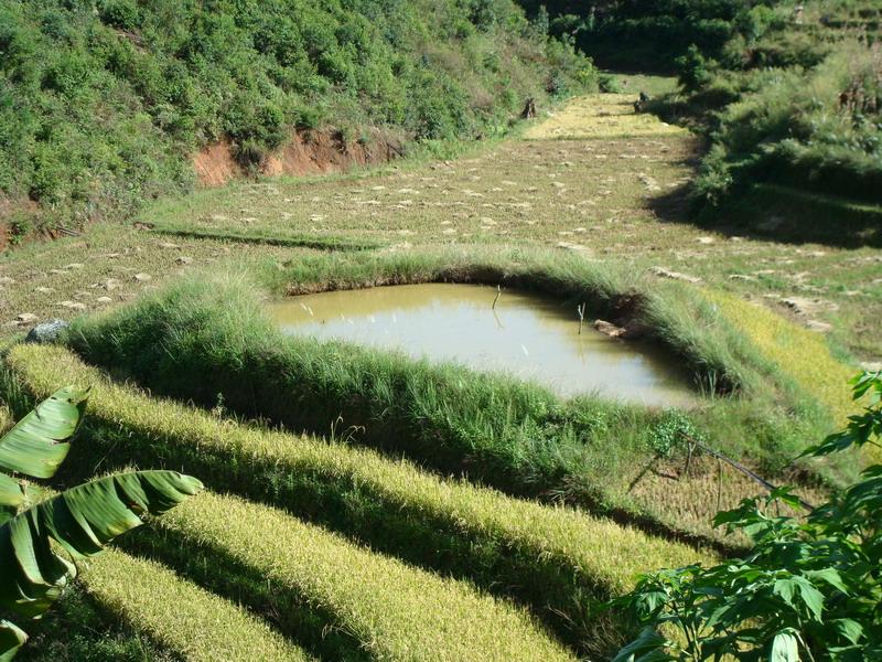 賀京自然村