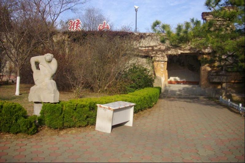 青島動物園猴山