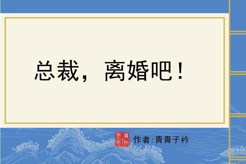 總裁，離婚吧！(青青子衿所著小說)