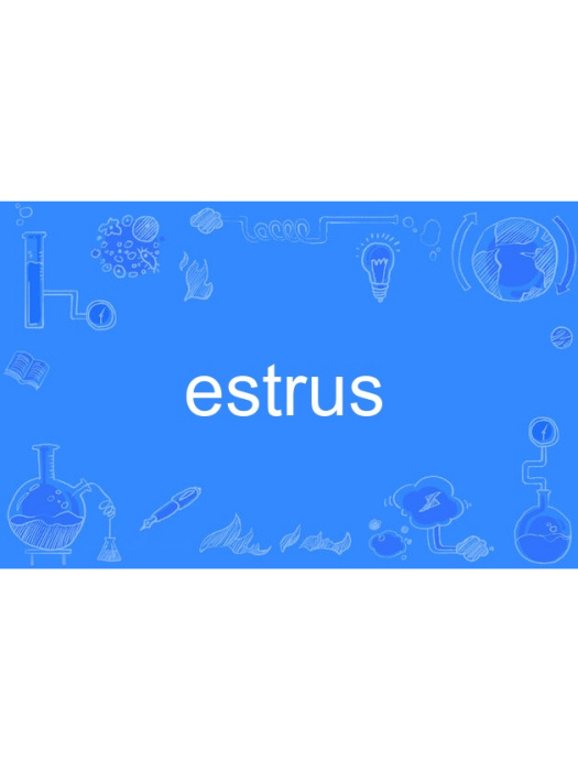 estrus