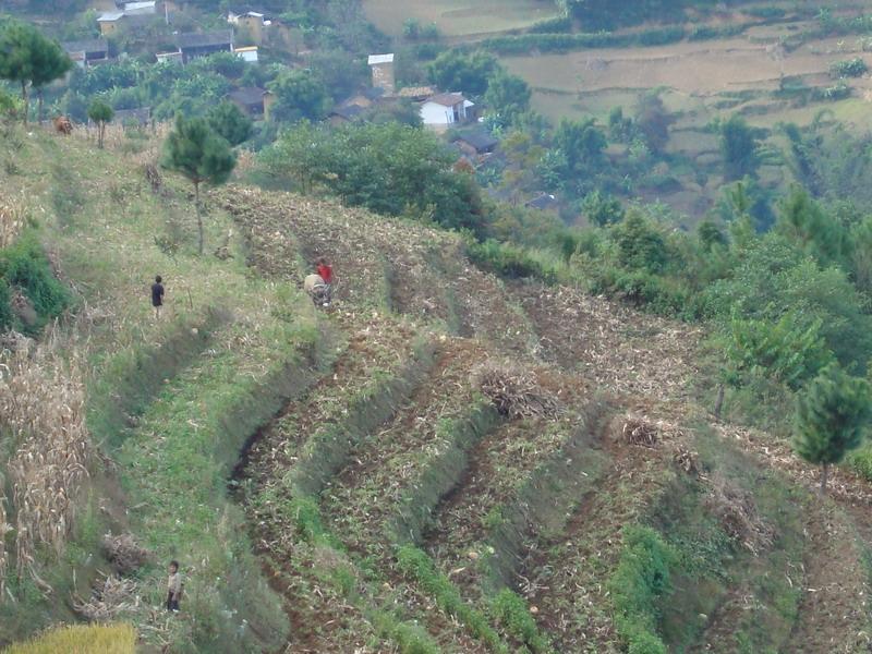 陳家寨自然村(11雲南文山縣壩心彝族鄉高筧槽村下轄自然村)