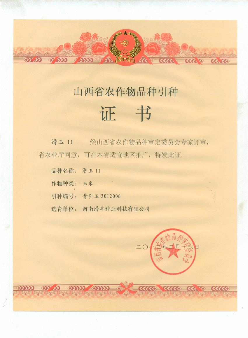 滑玉11山西省審定證書