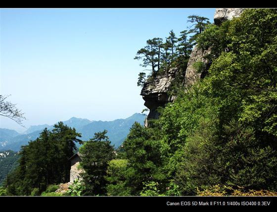 秦嶺萬花山朝陽景區