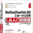 Word/Excel/PowerPoint 2003三合一辦公套用實戰從入門到精通