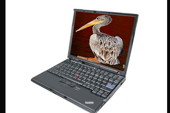 ThinkPad X61(7673FQ1)