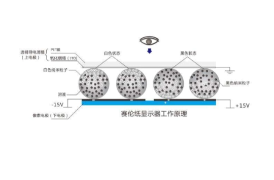 賽倫紙