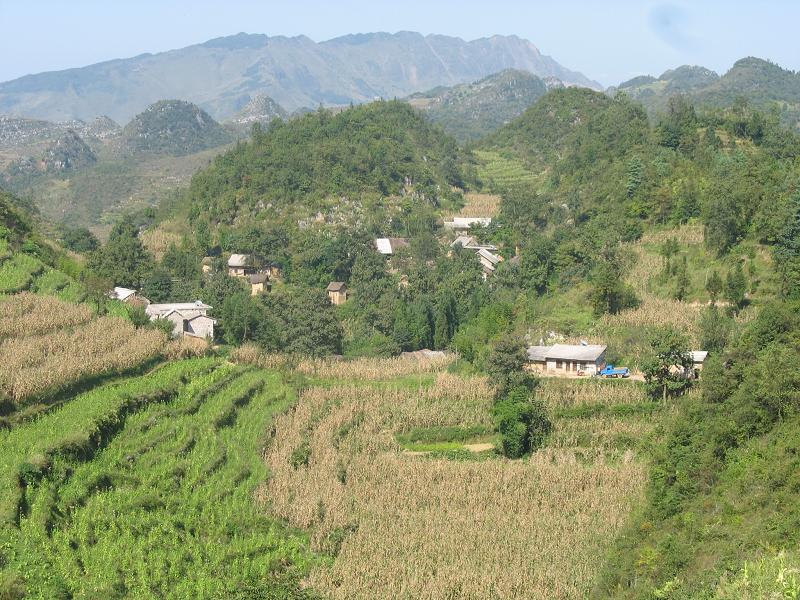 核桃坪自然村(雲南省威信縣麟鳳鄉核桃坪自然村)