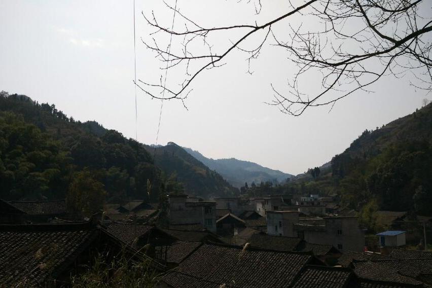 矮龍村