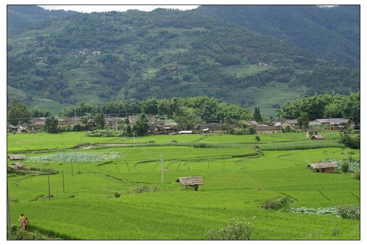 養喜自然村