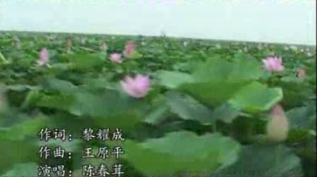 黃梅飄香