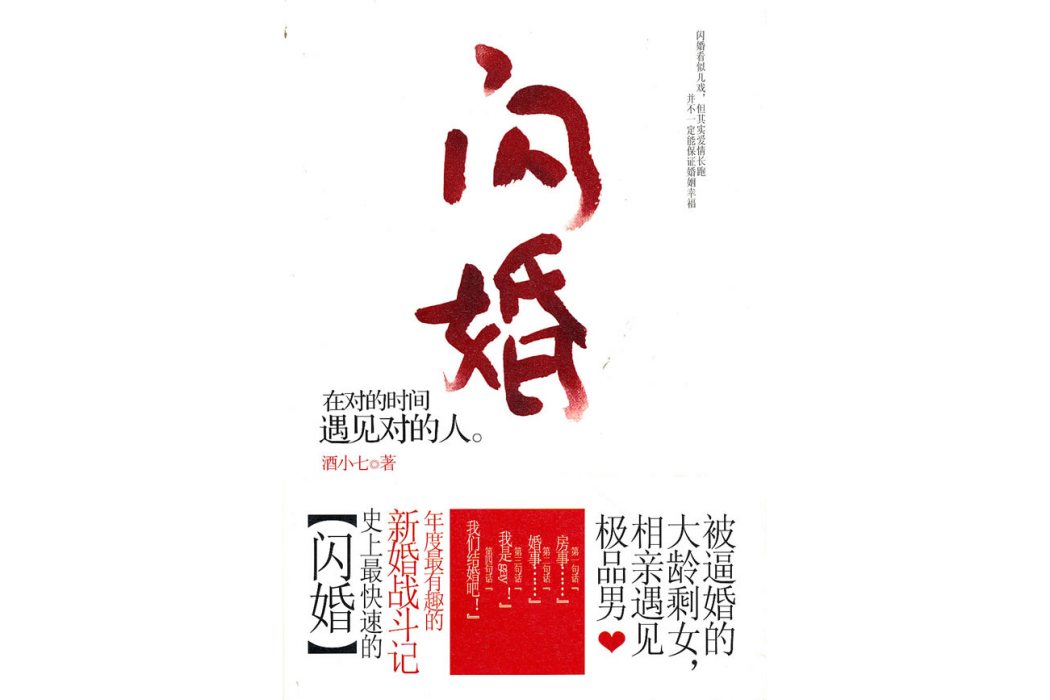 閃婚(2010年雲南人民出版社出版的圖書)