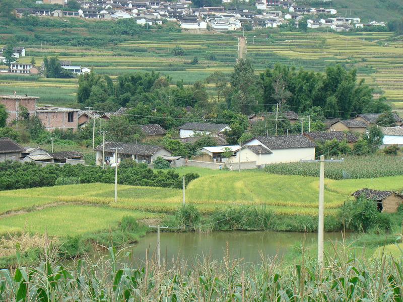 村莊全景