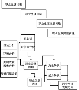 個人職業生涯設計