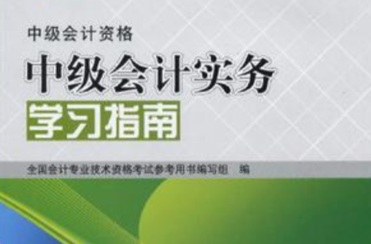 2010年度全國會計專業技術資格考試參考用書·2010年中級會計實務學習指南