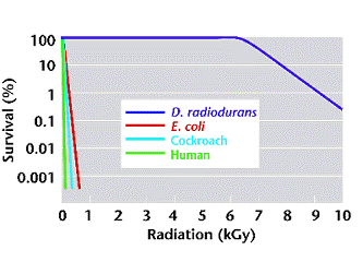 輻照條件下不同生物的生存狀況