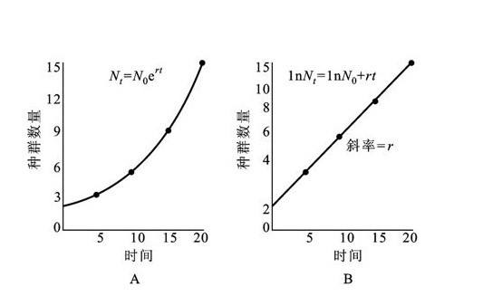 世代重疊種群的連續增長圖像