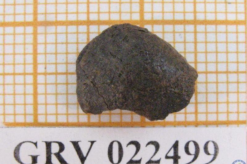 南極隕石GRV022499