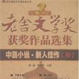 第三屆老舍文學獎・中篇小說・新人佳作