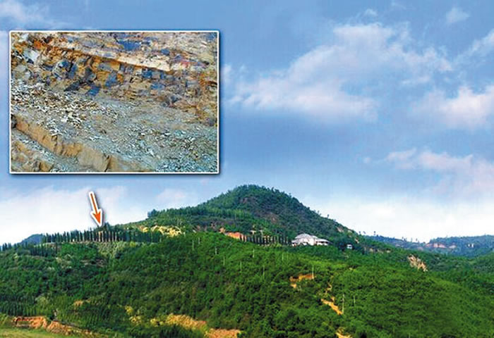 雲南省澄江化石地世界自然遺產保護條例