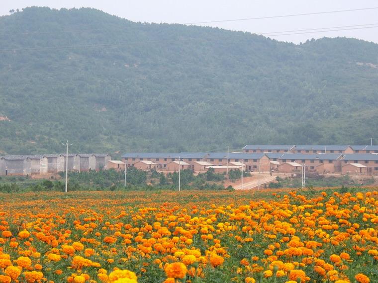 玉碗水村(雲南省霑益縣菱角鄉舊屋魯村委會玉碗水村)