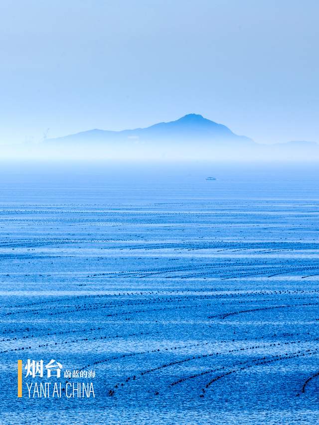 山東發現大寶貝，太大了！| 地球知識局